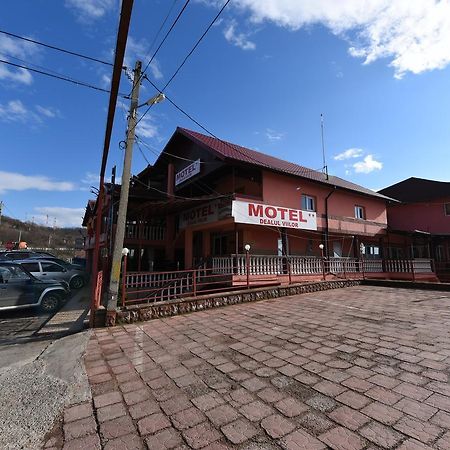 Pensiunea Dealul Viilor Déva Kültér fotó